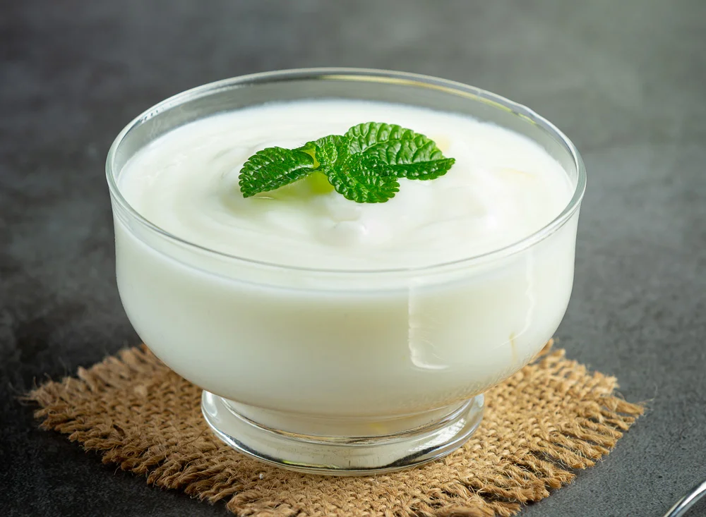 Is Yogurt Good for Gastritis